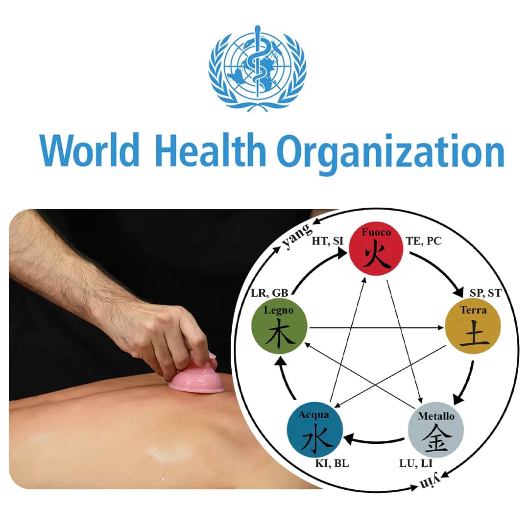 Organizzazione Mondiale Sanità Medicina